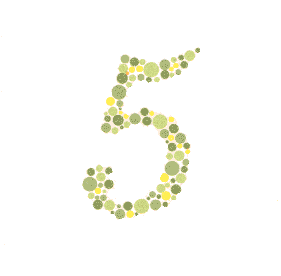 Ishihara Color Blindness Test 10 Answer