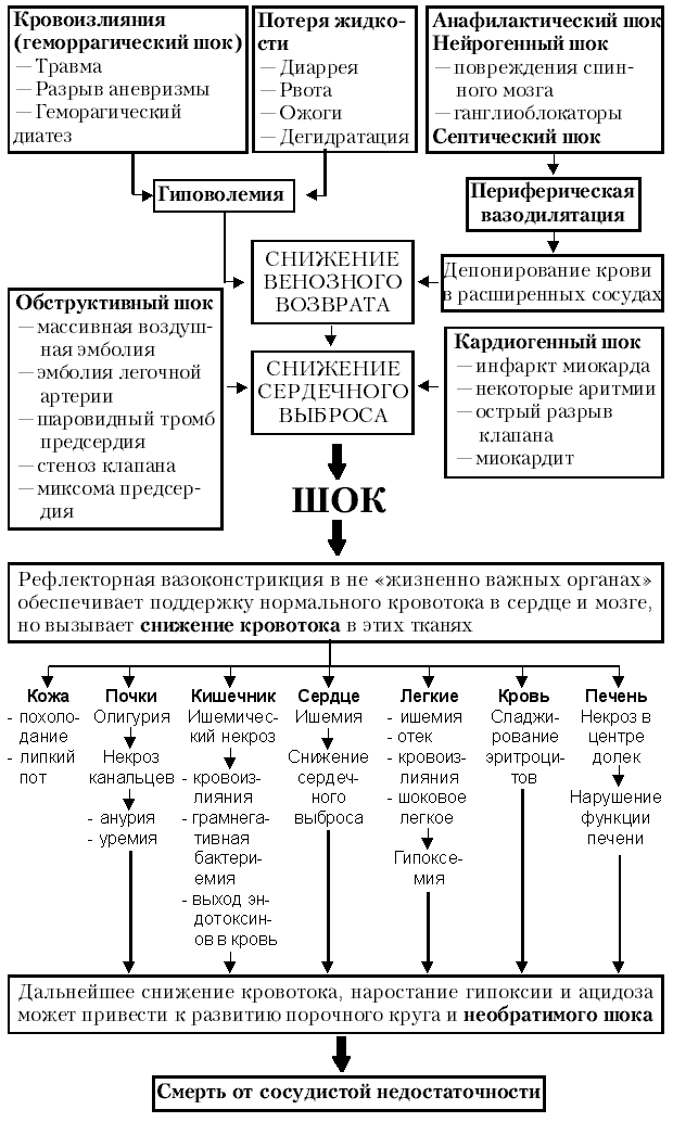 Причины и механизм развития шока